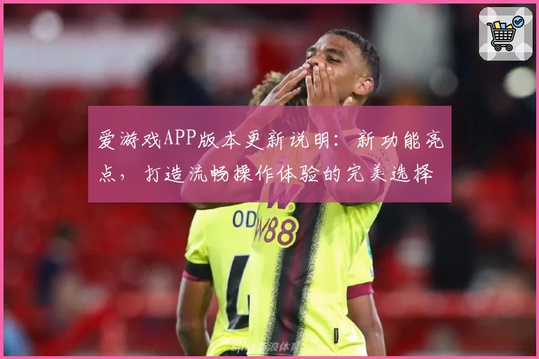 爱游戏APP版本更新说明：新功能亮点，打造流畅操作体验的完美选择
